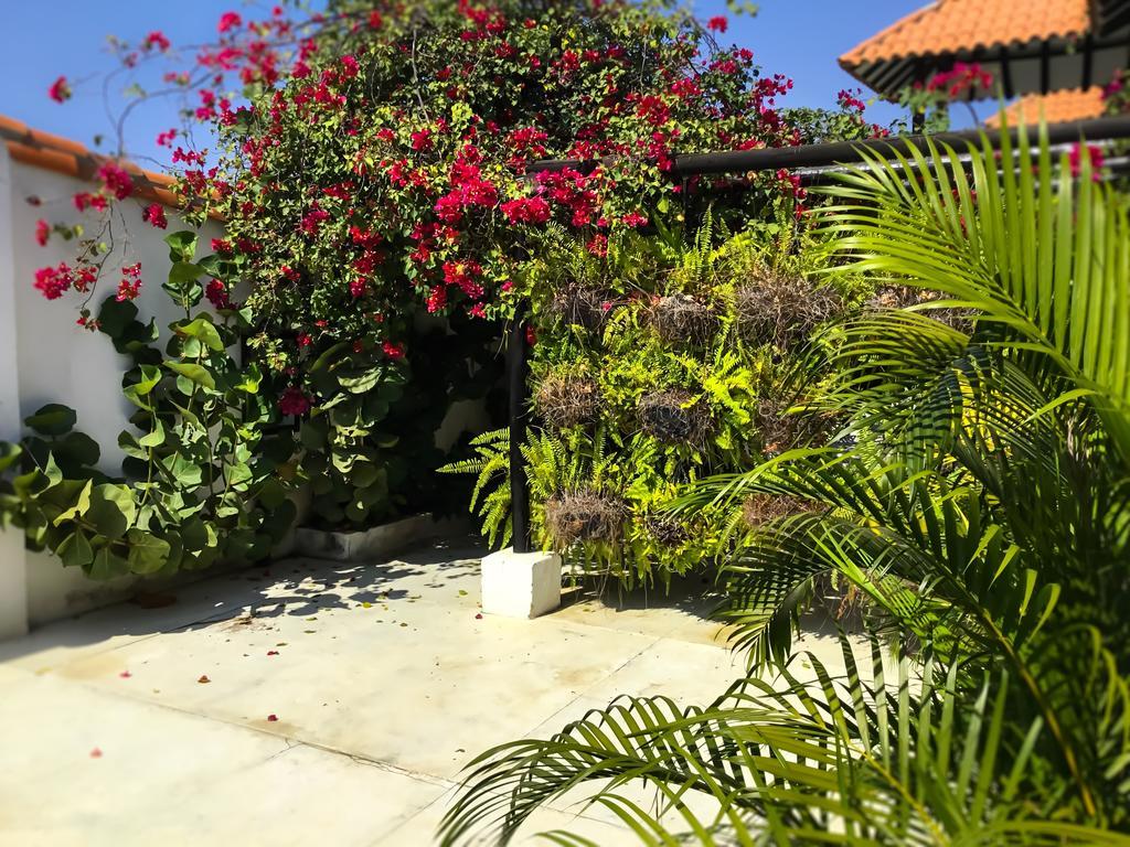 Casa Ines Bed and Breakfast Santa Marta  Zewnętrze zdjęcie